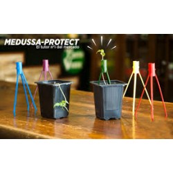 Medussa-Protect tutor para plantas