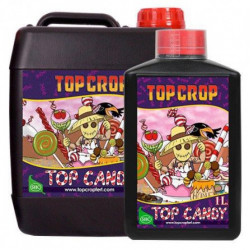 Top Candy TOP CROP
