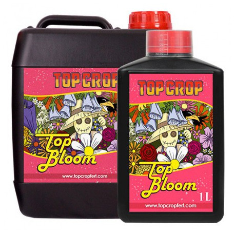 Top Bloom TOP CROP