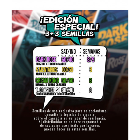 Dark Rose Mallorca Breeders 3+3 Uds