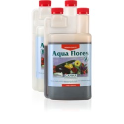 Aqua Flores A + B
